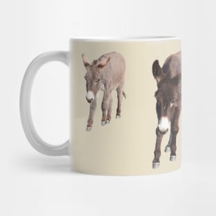Wildlife, gifts, wild burros, wildlife, donkeys Mug